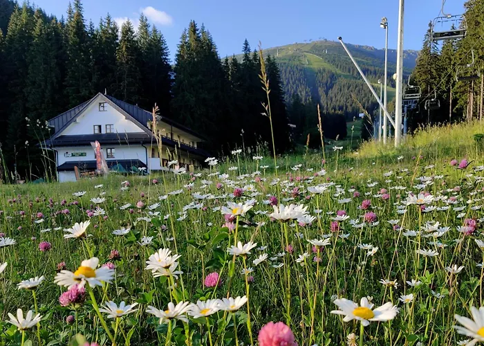 Apartmany Biela Put - Jasna Nr. 12